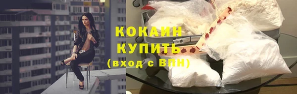 кокс Белокуриха