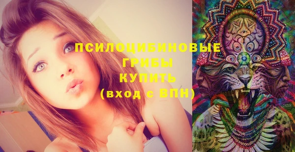 кокс Белокуриха
