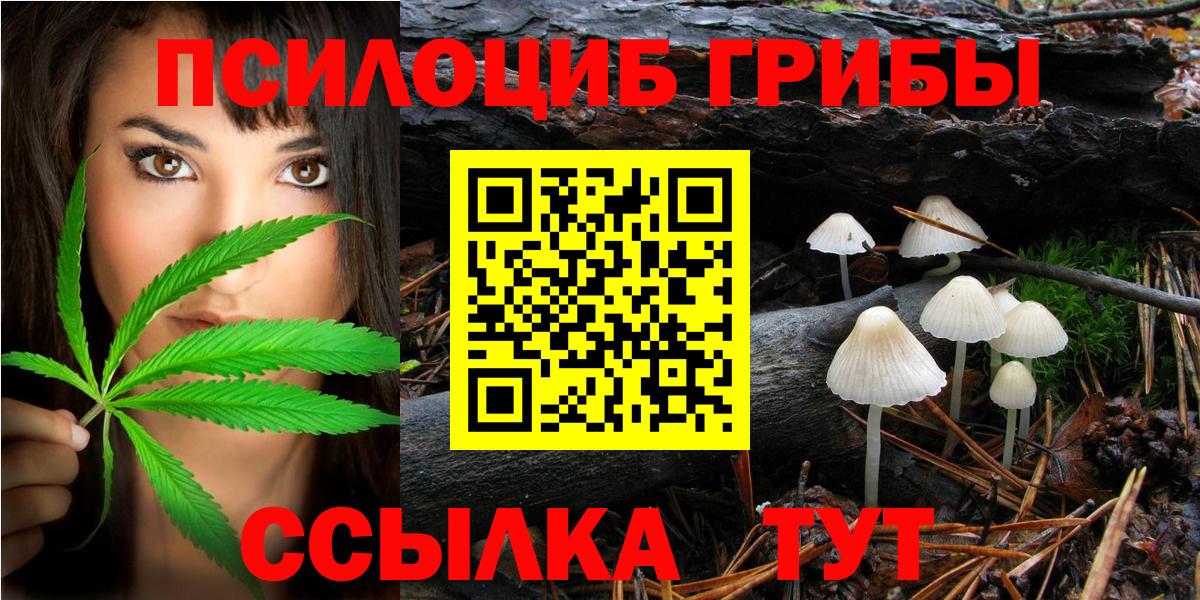 Псилоцибиновые грибы MAGIC MUSHROOMS Сердобск